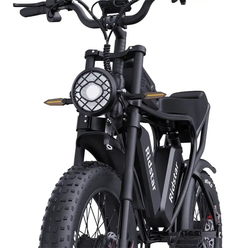 RIDSTAR Q20 Pro 20"*4.0 Fat Tires Electric Mountain Bike 2*1000W Motor 52V 40Ah Dual Battery