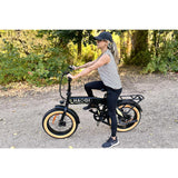 HAOQI for UL Certified Electric Folding Bike Squirrel Model