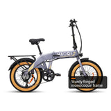 HAOQI for UL Certified Electric Folding Bike Squirrel Model