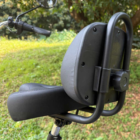 48V 350W Brushless Hub Motor Rear-Drive Foldable Cargo E-Trike 16" Tire 25km/h Top Speed 200kg Max Load 100-150km Range High