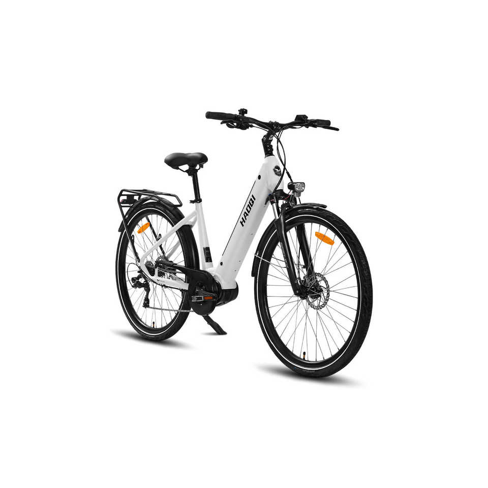 HAOQI Falke Step Thru Electric City Bike 250W 48V 15Ah Integrated Battery 50km Range with Central and Rear Hub Motors