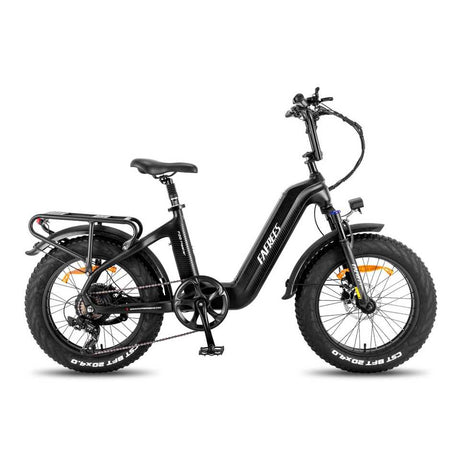 Fafrees F20 Master Electric Mountain Bike EU Product