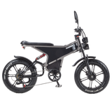 RANDRIDE DM711 Electric Motorcycle Dual Motor Drive 1000W*2 Peak Power for City Commuting