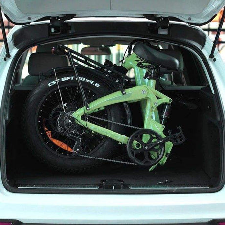 Bodywel F20pro 20*4.0 Fat Tyre E-Bike 250W Motor 25km/h Speed 264lbs Load Capacity 48V 15AH Battery Max 120KM Range Black/Green