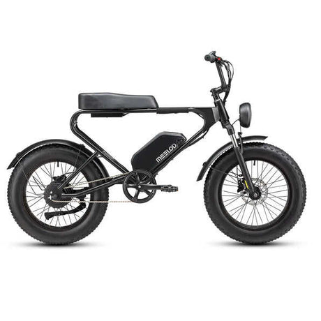 MEELOD DK200 the Best Entry-level Moped Style Ebike