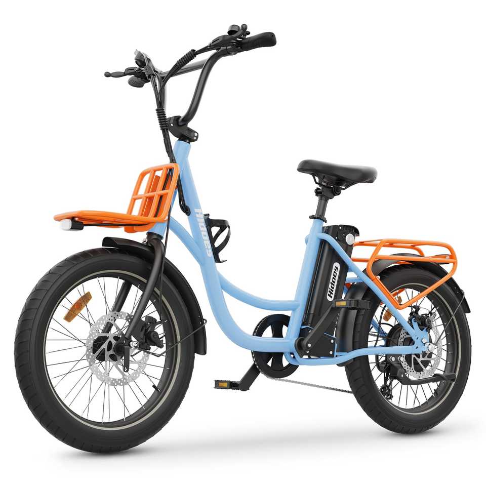 Hidoes C6 Electric Bike