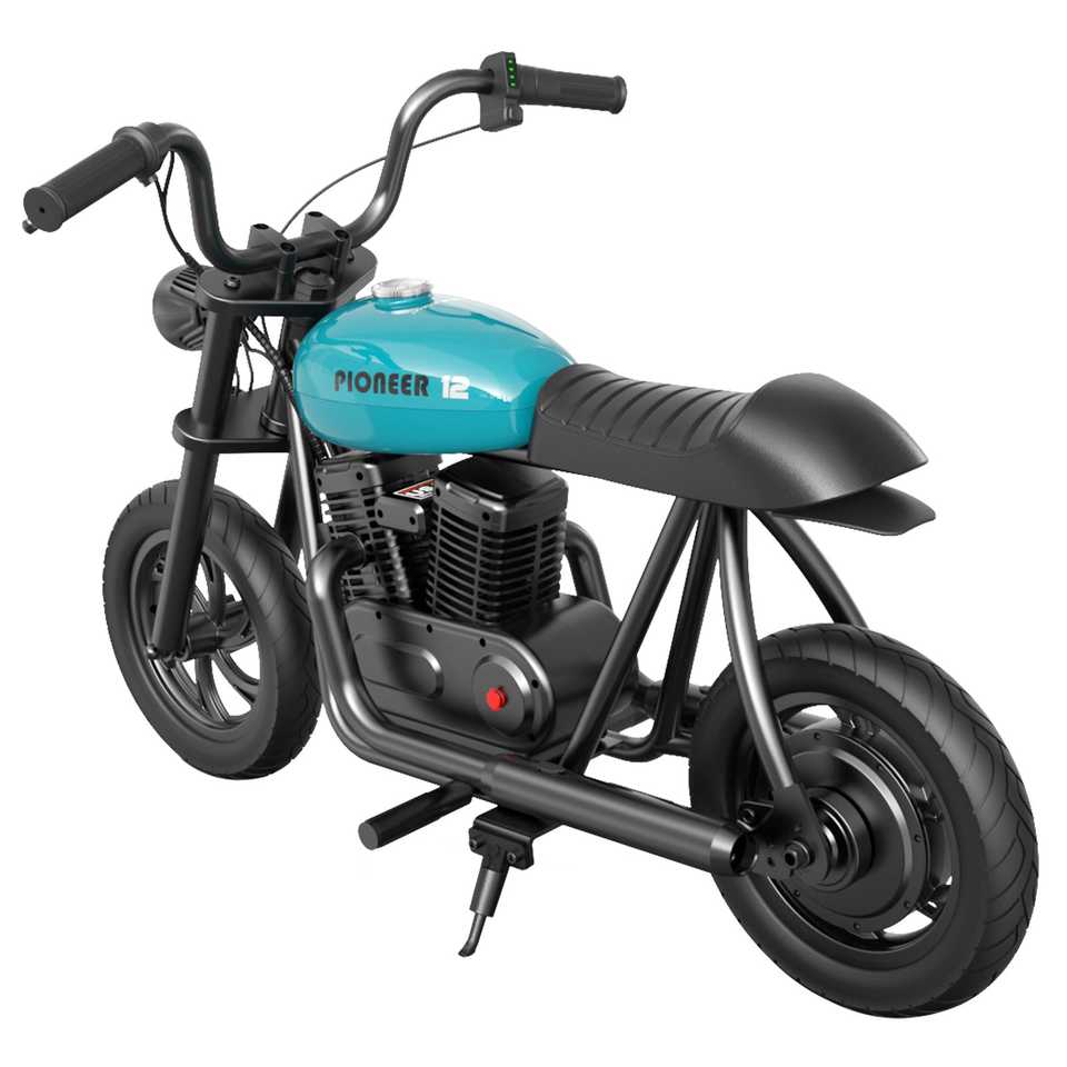 HYPER GOGO Pioneer 12 Premium Electric Motorcycles