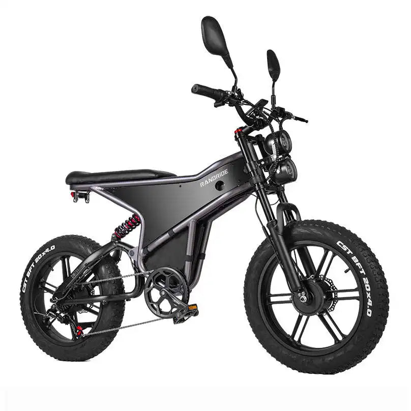 RANDRIDE DM711 20\" Electric Mountain Bike with 2000W 20Ah Dual Motors 60km Range 48v Lithium Battery 20\" Rear View Mirrors