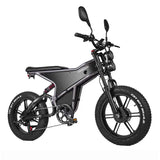 RANDRIDE DM711 20\" Electric Mountain Bike with 2000W 20Ah Dual Motors 60km Range 48v Lithium Battery 20\" Rear View Mirrors