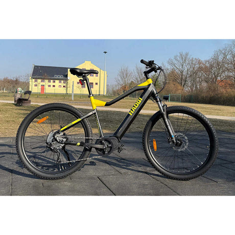 HAOQl Cheetah All-Terrain E-MTB 60V 250W Central Motor with 48V Lithium Battery Mid Drive 60km Range Off-Road Usage