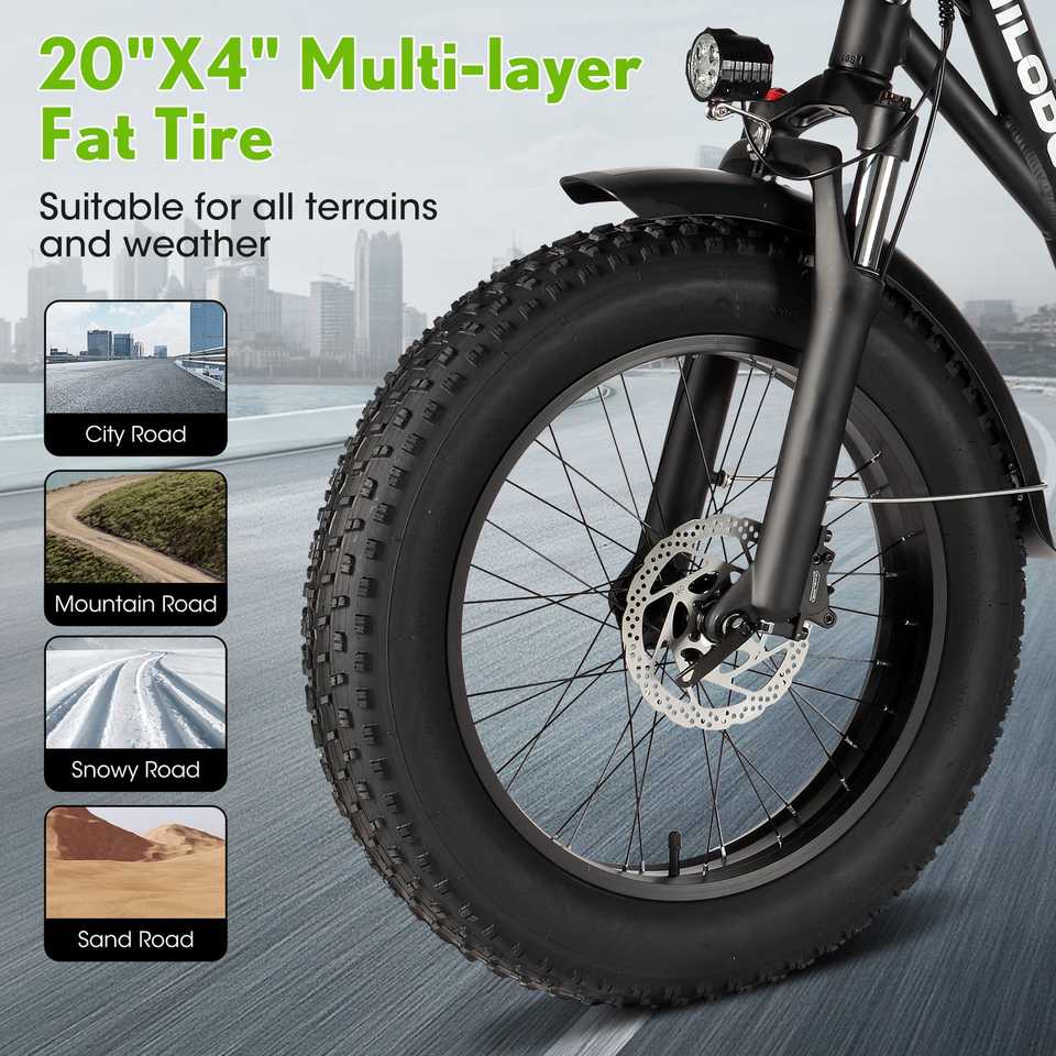 （EU Stock）PHILODO T1 Electric Bike