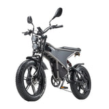 RANDRIDE DM711 20\" Electric Mountain Bike with 2000W 20Ah Dual Motors 60km Range 48v Lithium Battery 20\" Rear View Mirrors