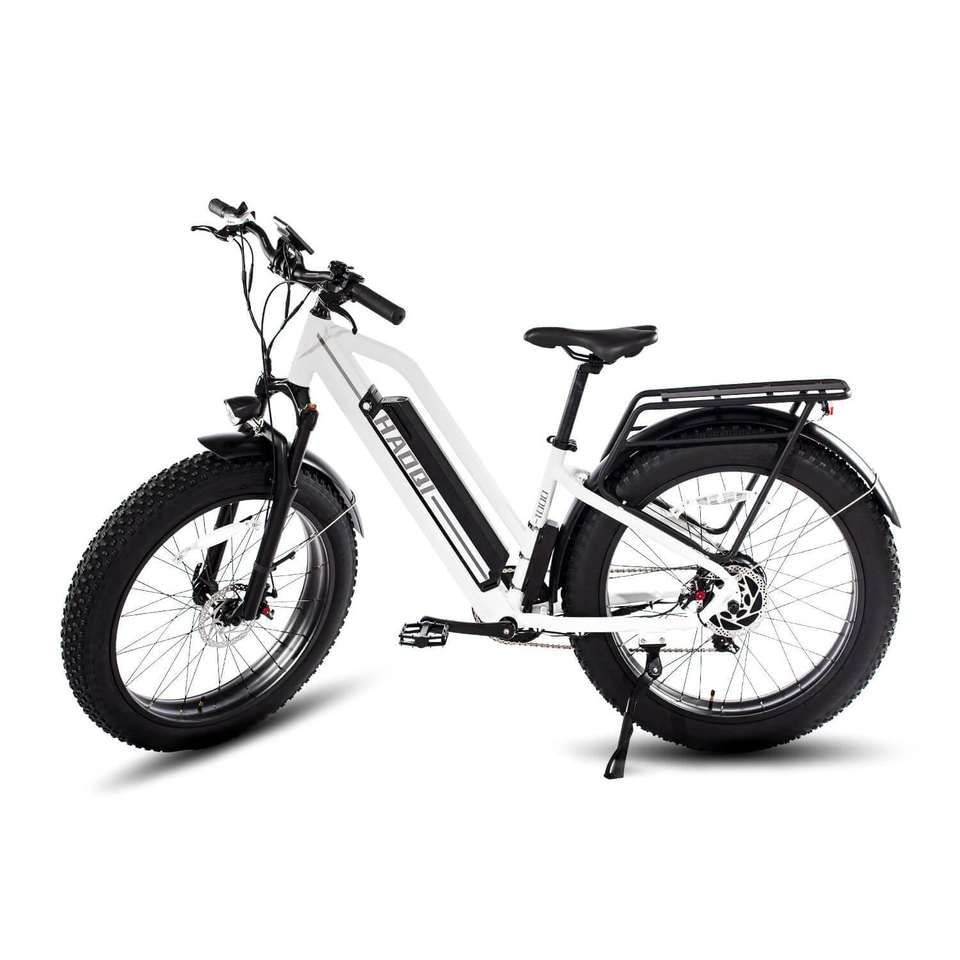HAOQI for UL Certified White Leopard Pro Step Thru Electric City Bike
