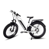 HAOQI for UL Certified White Leopard Pro Step Thru Electric City Bike