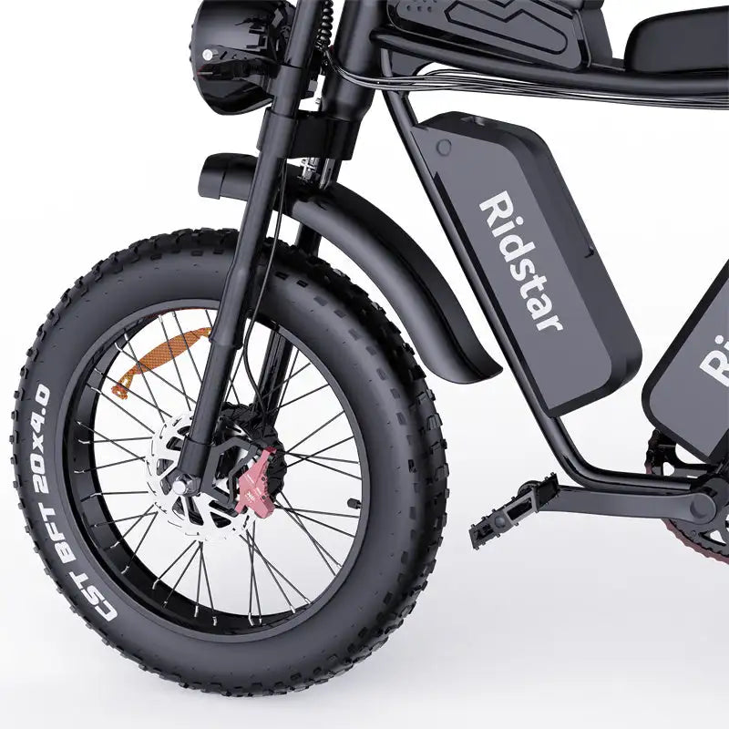 RIDSTAR Q20 Pro 20"*4.0 Fat Tires Electric Mountain Bike 2*1000W Motor 52V 40Ah Dual Battery