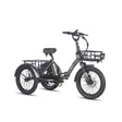 EU UK Warehouse FAFREES F20 Mate Electric Cargo Trike 180kg Capacity, 110KM Range, Folding Design