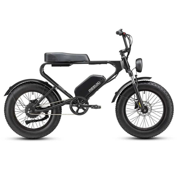 MEELOD DK200 Entry-Level Moped Style Ebike with 750W Motor 624Wh Battery IP65 Waterproof