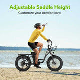 （EU Stock）PHILODO T1 Electric Bike