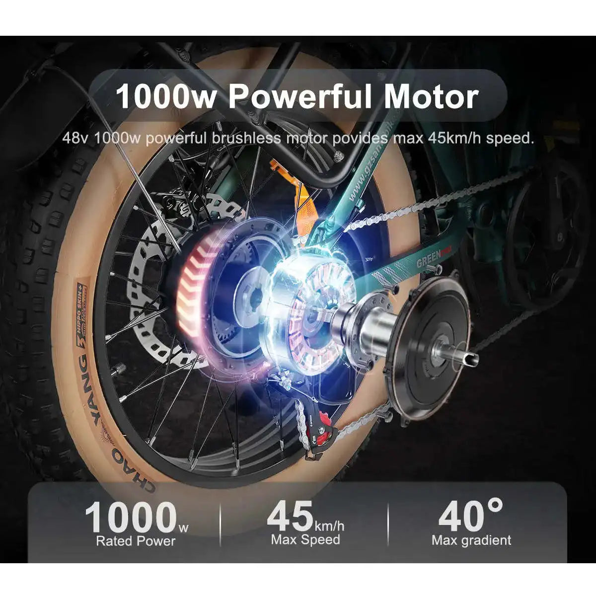 XWLX09-II 1000W Fat Tire Mountain E-Bike with 48v 15ah Battery Dual Suspension