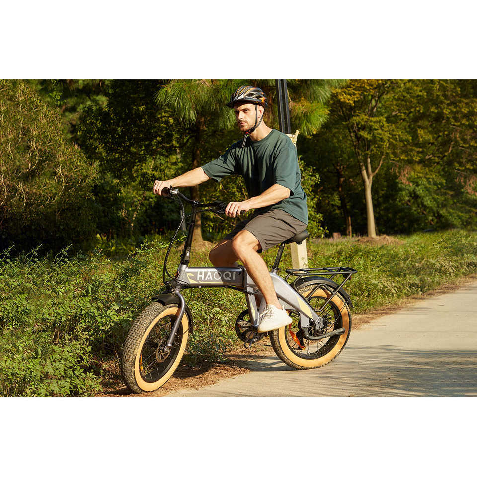HAOQI for UL Certified Electric Folding Bike Squirrel Model