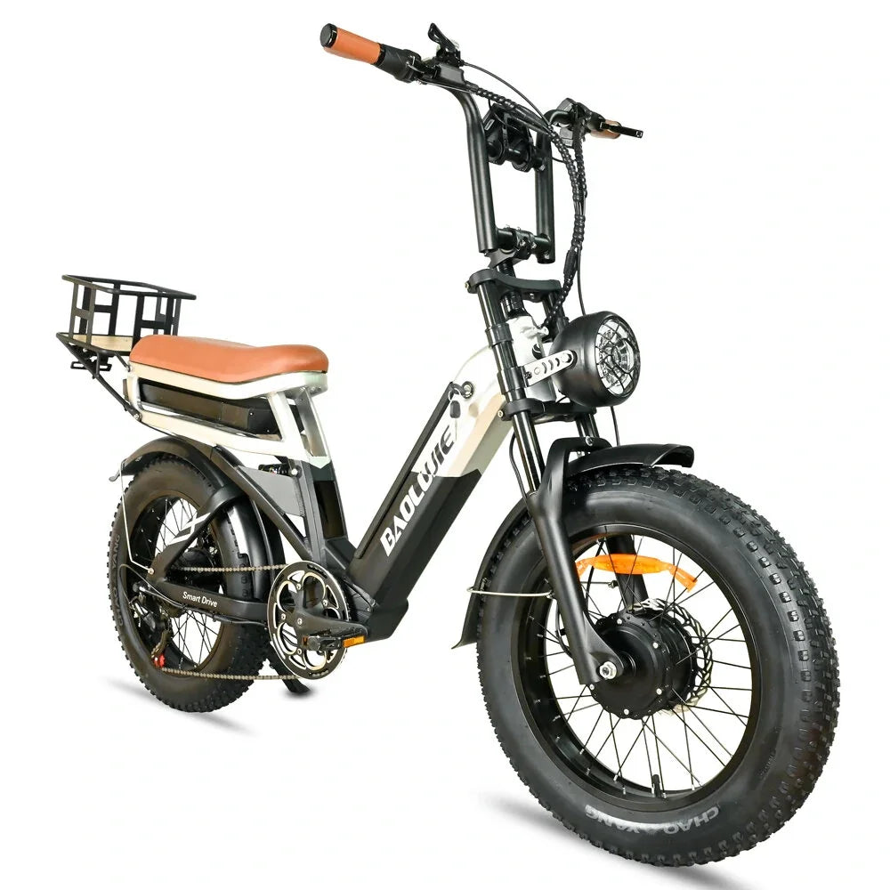 [EU DIRECT] BAOLUJIE DP2033 Electric Bike 48V 30AH Battery 1000W Motor 20inch Tires 90-100KM Max Mileage 120KG Max Load Electric