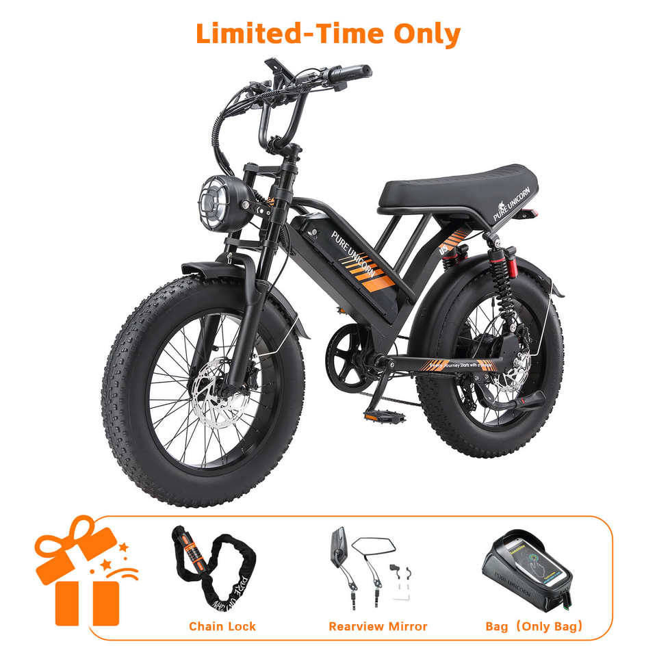 PURE UNICORN U5 Electric Dirt Bike 1000W Sportbike with Lithium Battery Fat Tire Moped Electric Motorcycles