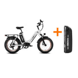 HAOQI Antelope Pro 750W Bafang Motor 16Ah+9Ah Battery 400 Lbs Payload Cargo Electric Bike