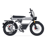 COSWHEEL CT20 | Family Electric Bike