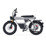 COSWHEEL CT20 | Family Electric Bike