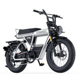 COSWHEEL CT20 | Family Electric Bike
