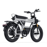 COSWHEEL CT20 | Family Electric Bike