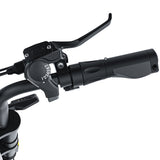 COSWHEEL CT20 | Family Electric Bike