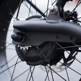 MANGOSTEEN FT02 EEC | Chopper Bike