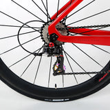 Top Selling New Design Color Combination Road Racing Bike Cycle Bicycle in Stock