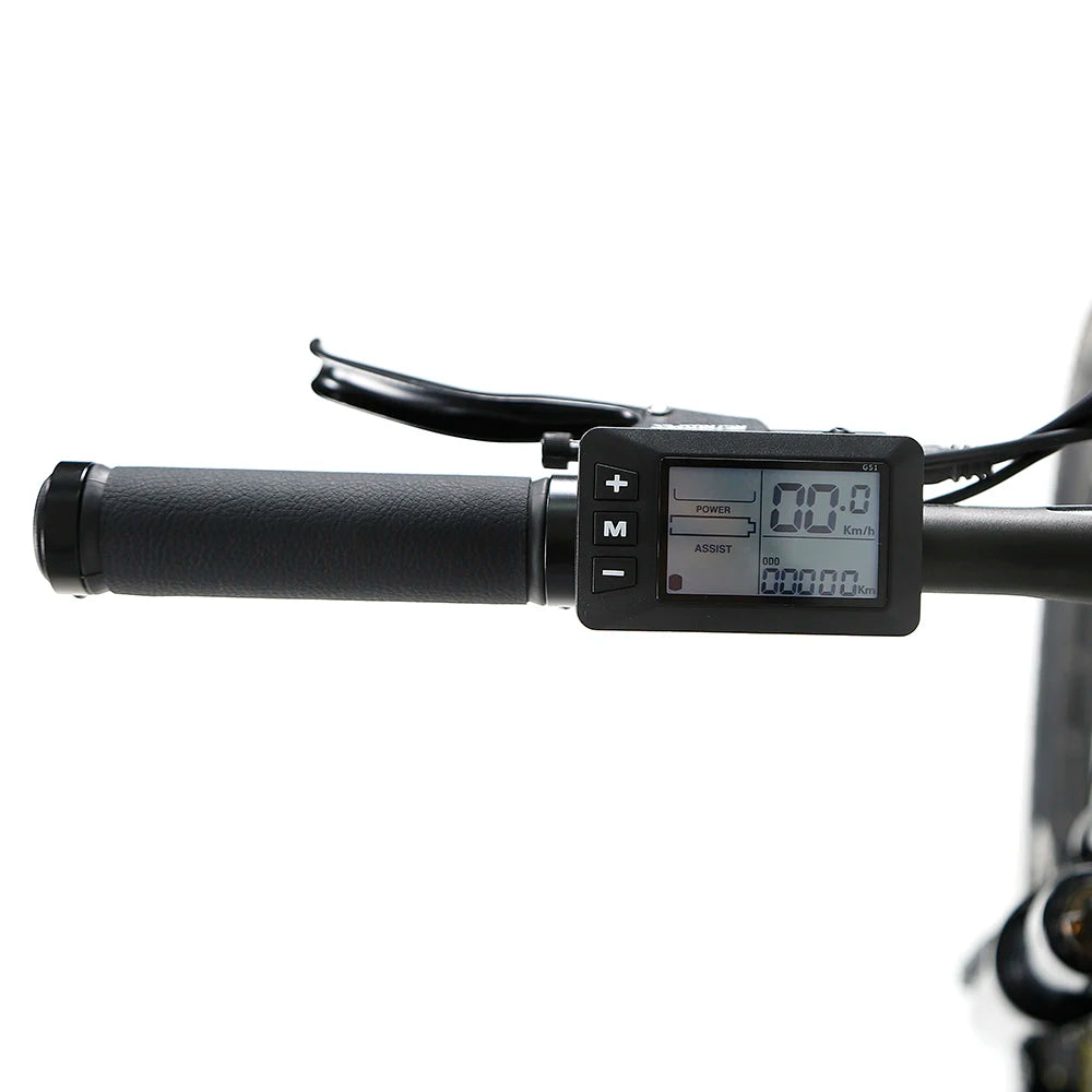 48V 250W-1000W Twitter E Bike Alloy 29er Cheap Electric Bicycle