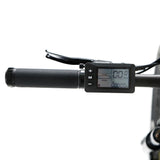 48V 250W-1000W Twitter E Bike Alloy 29er Cheap Electric Bicycle