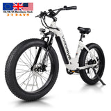 Vipdrive USA Warehouse Stock Drop Shipping Free Shipping 48V 15AH Best Battery Low Step Women 750W MTB Snow Beach Mountain Bike