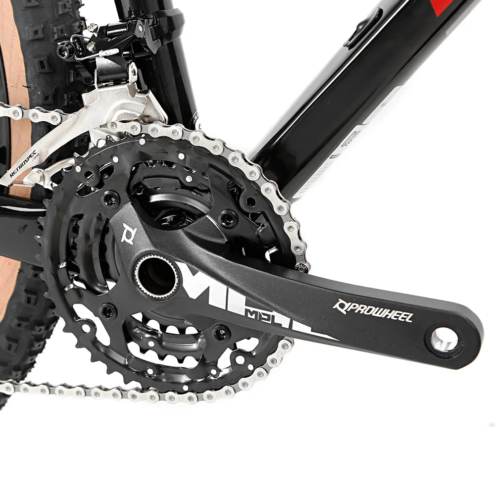 China OEM 12 Speed Carbon Mtb Mountain Bike 29 with Hydraulic Brake