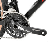 China OEM 12 Speed Carbon Mtb Mountain Bike 29 with Hydraulic Brake