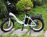 Drvetion CT20 Electric Folding Bike 48V 750W 10AH/15AH/20AH Battery Options 20*4.0inch Tyre MaxSpeed 25-55km/h Range 40-110km