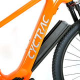 Cheap Price 13A 250W 10 Speed Carbon Bicycle Electric Bike Mountain