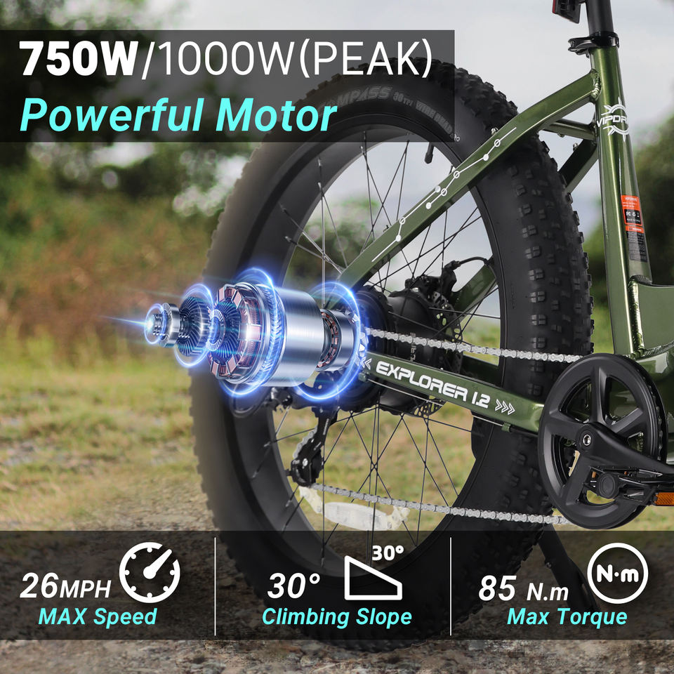 EU USA Stock 48V 15AH 750W Lithium Battery Fat Tire Mountain Ebike LCD Display Surron Sport Dirt Fastest Ebike for Adults