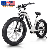 USA Stock 48V 15AH 750W 1000W Lithium Battery Fat Tire Mountain Ebike Multi Mode LCD Display Sport Fastest Ebike for Adults