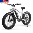 USA Stock 48V 15AH Fat Tire Electric Sport Mountain Bike Long Range 750W with LCD Display Wholesale for Adults