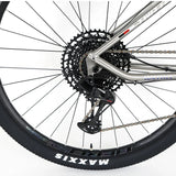 Wholesale Thro Axle Titanium Alloy Bicycle China 29er Mountain Bike