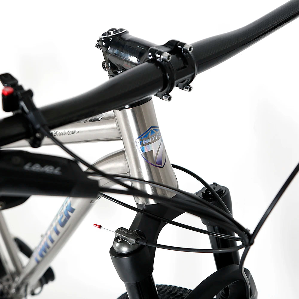 Twutter Bicycle Factory WERNER 27.5 29 Inch Titanium Alloy Mountain Bike SX 12 Speed XC Level Disc Brake Mtb Mountain Bicycle