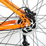 TWITTER High Quality 29 Inch E-bike Hub Motor Electric Mountain Bike Adult Off-road Alu Alloy Mountain Electric Bike