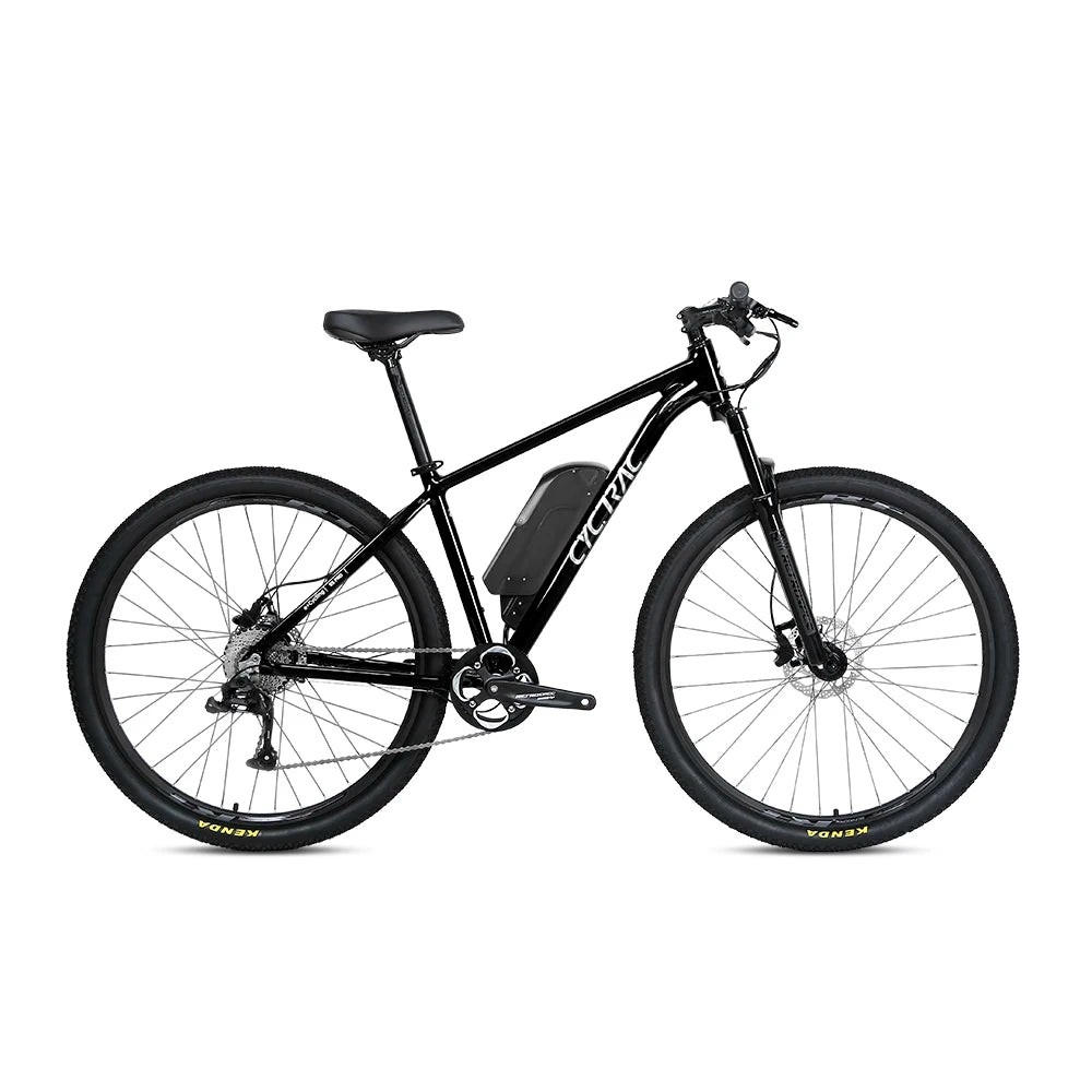 48V 250W-1000W Twitter E Bike Alloy 29er Cheap Electric Bicycle