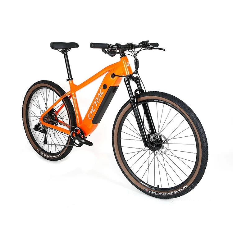 2022 Mtb Electric Bike 48V 500W Rear Motor Mtb 29er E Bike Mountain Electric Bicycles