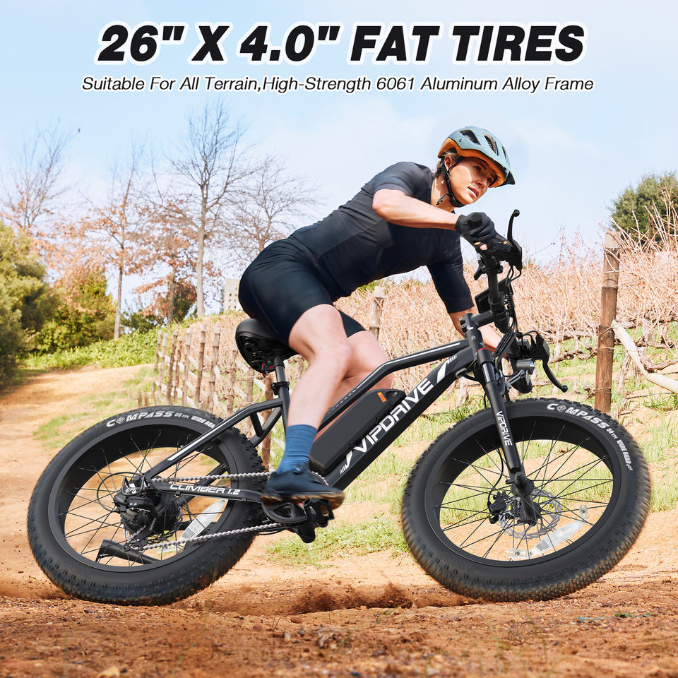 USA Stock 48V 13AH 500W Fat Tire Mountain Snow Full Suspension Ebike Multi Mode LCD Display Sport Ebike for Adults